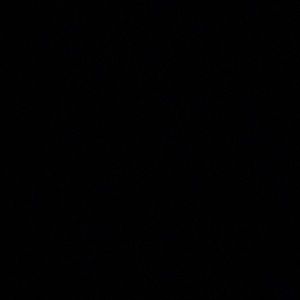 Meet your Posher, Avery